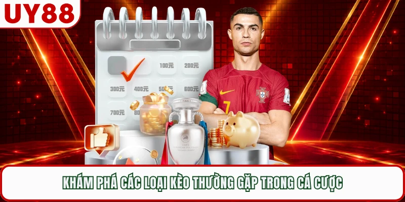 Khám phá các loại kèo thường gặp trong cá cược